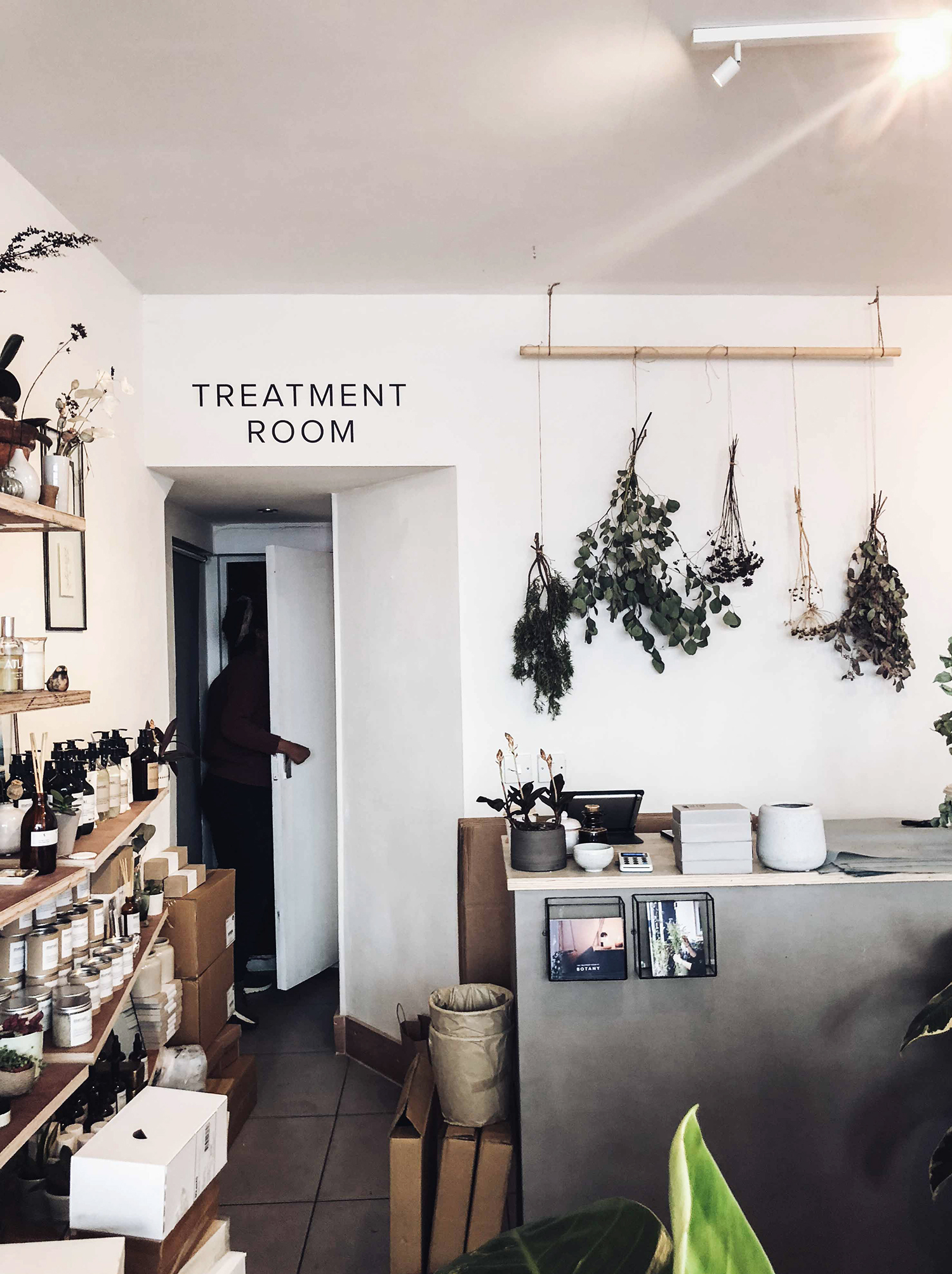 Stylonylon | Botany E5 | The Treatment Room