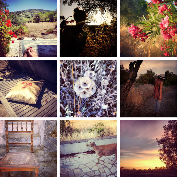 iphoneography – Insta-Holiday Summations 